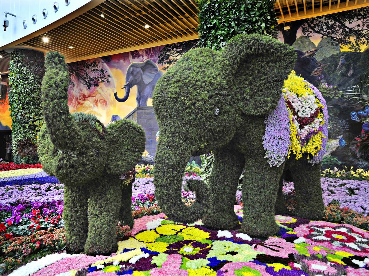 Howard Johnson Flower City Hotel 쿤밍 외부 사진