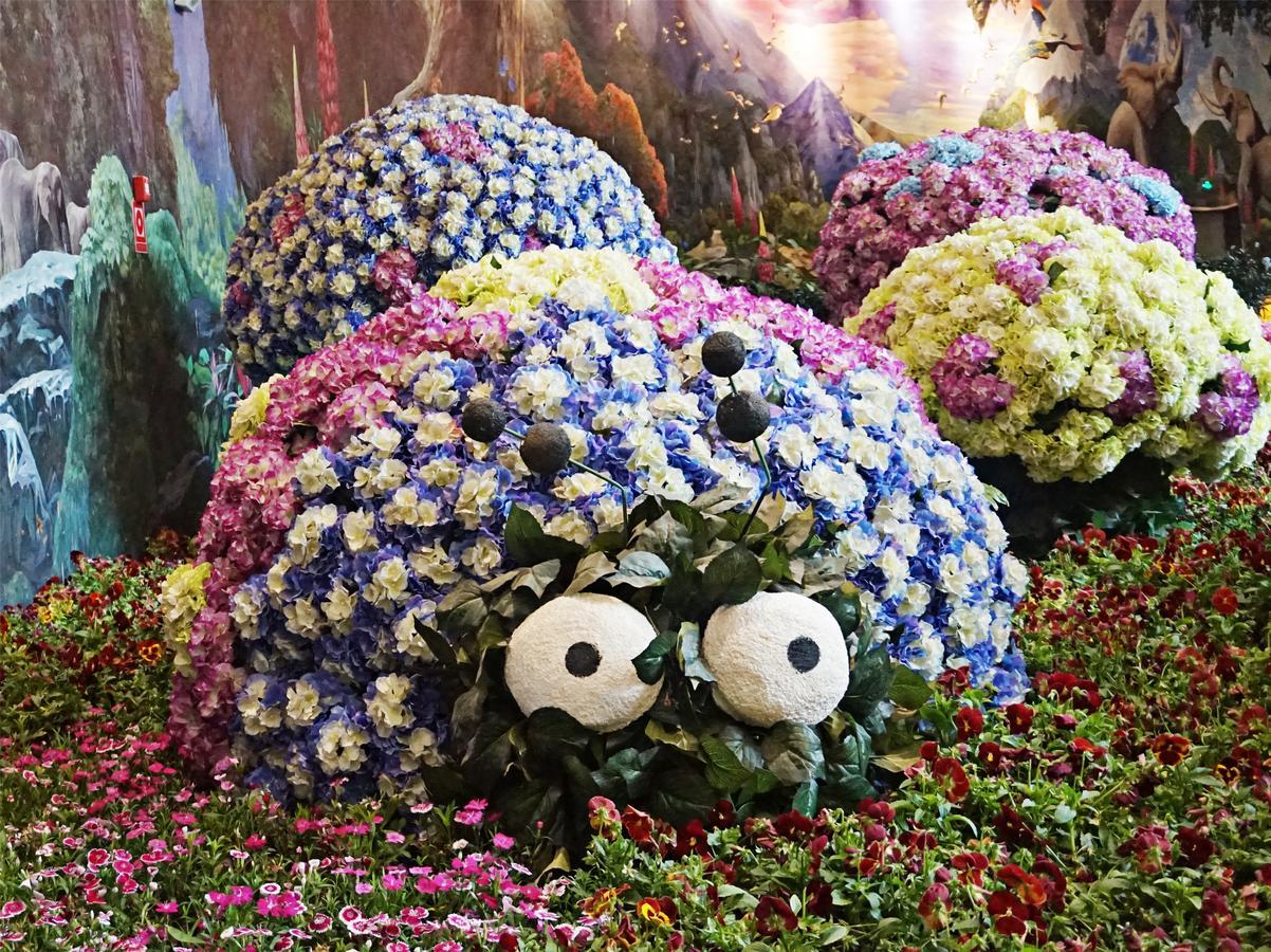 Howard Johnson Flower City Hotel 쿤밍 외부 사진